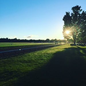 Meet your Posher, Posha! 🌞